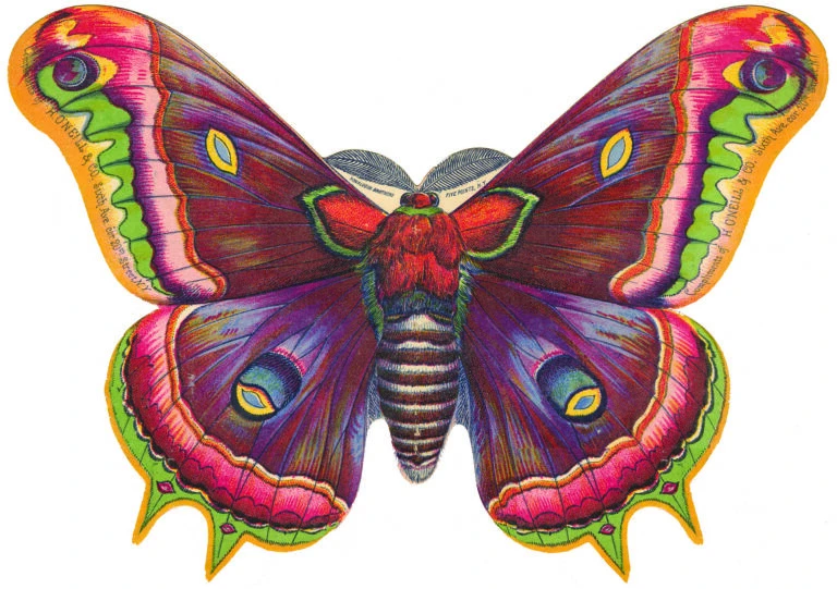 User image 678c05838e269