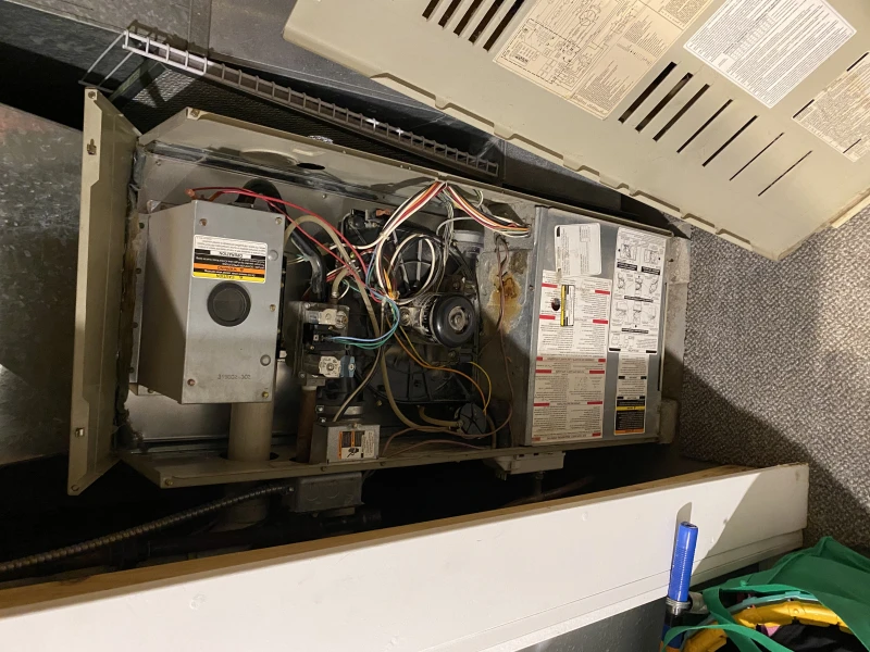 User image 678ec2290819e