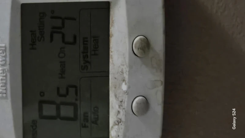 User image 67905ad00c43a