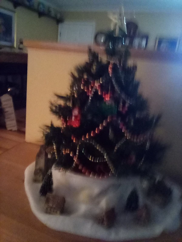 User image 679163fc65962