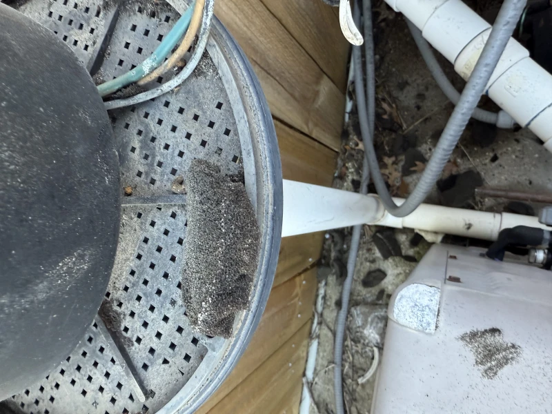 User image 6791735b39d27