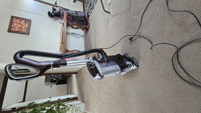 User image 6796731d505ef