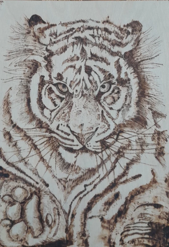 User image 6797b4c6db8ab