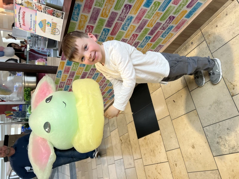 User image 6798173c73fe0