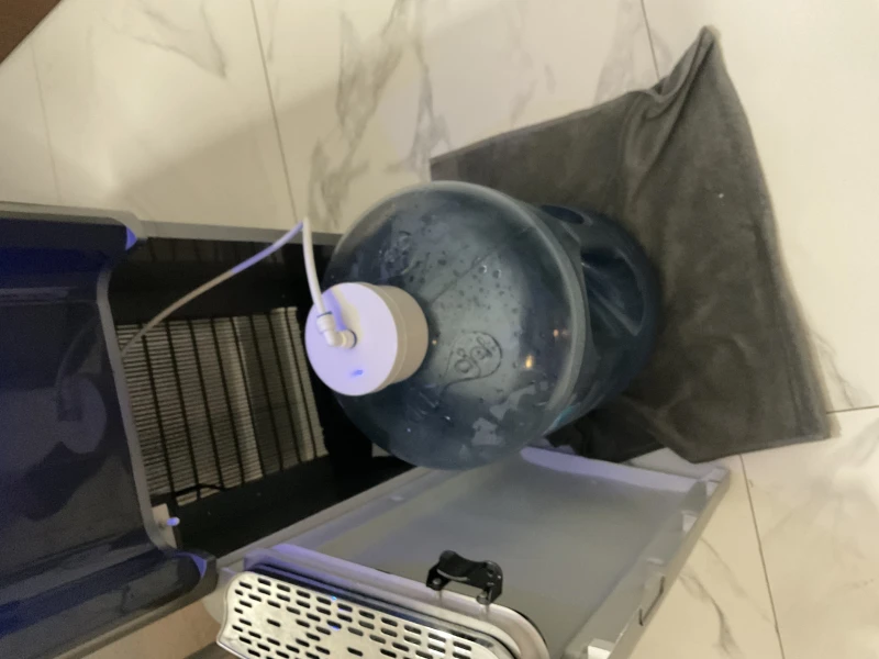 User image 67983d8825df2