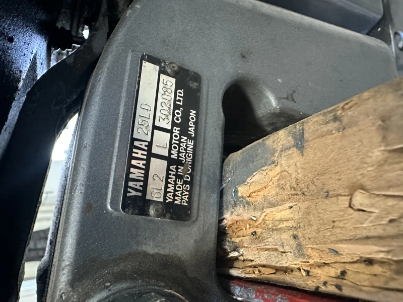 User image 67fbf30ee674c