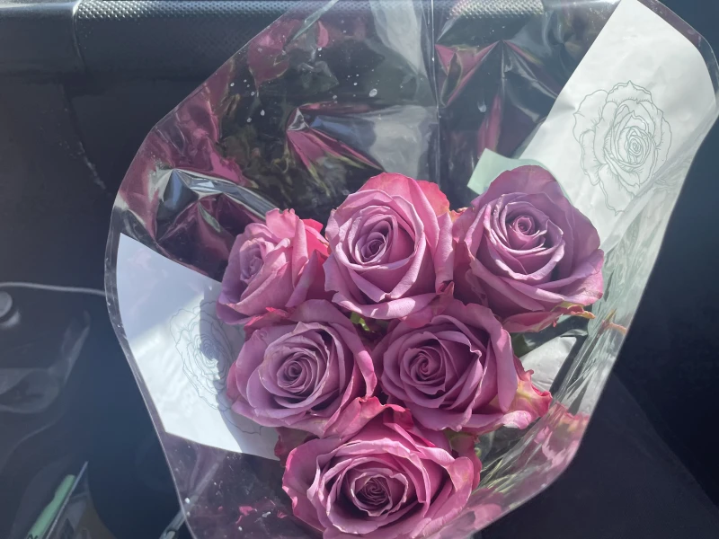 User image 67f28908852da