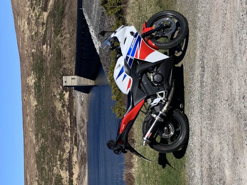 User image 67f4272372d19