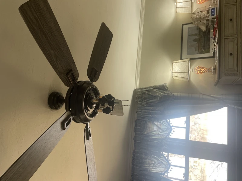 User image 67f54534177ae