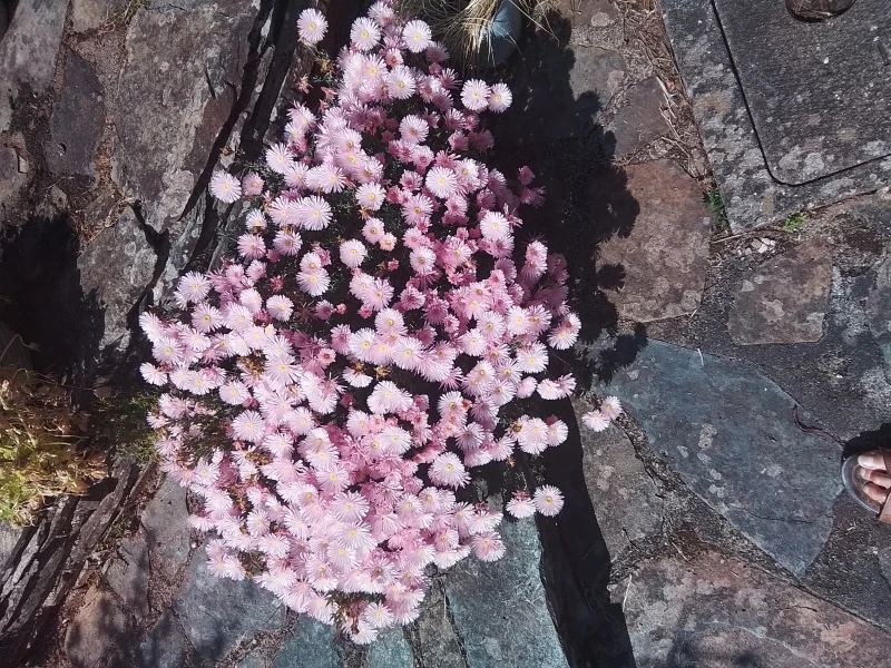User image 67f8e8b4c0f9d