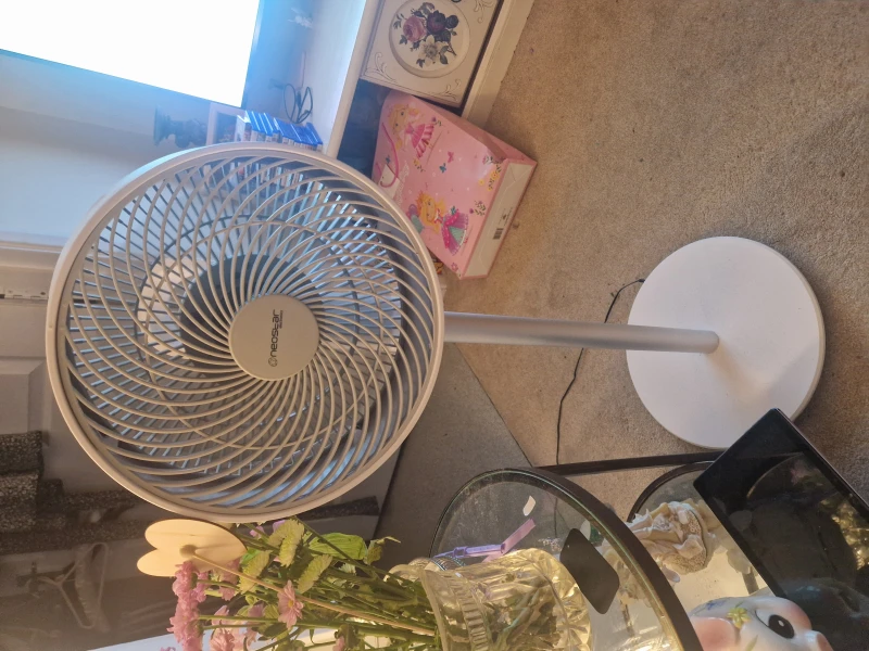 User image 67faf059dbdee