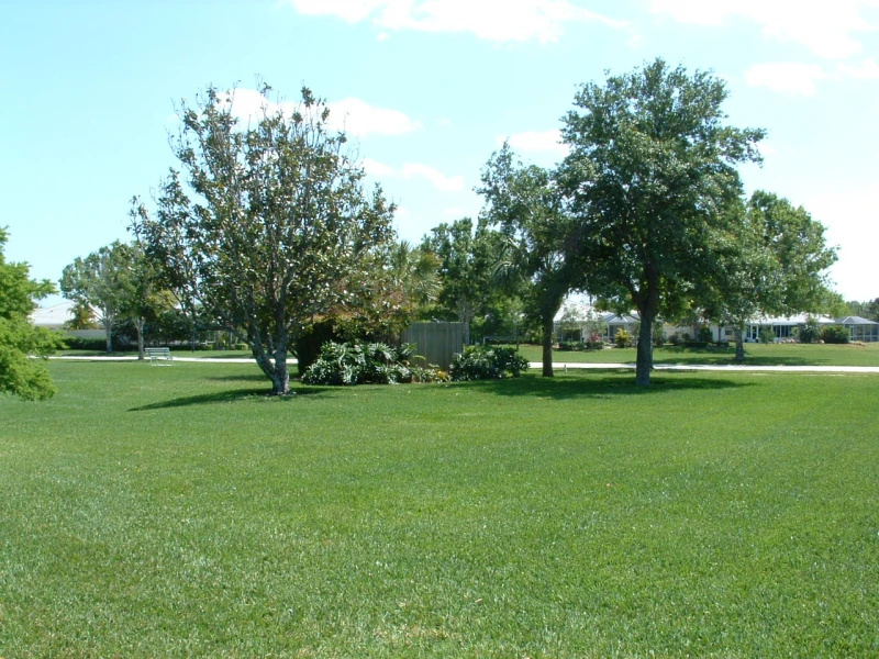 User image 67fd4fd01eb36