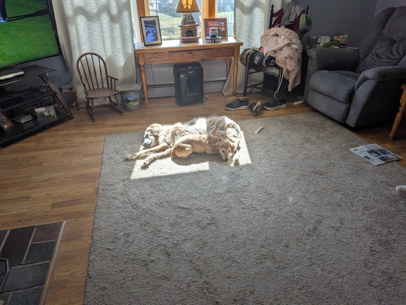 User image 67fff1a878946