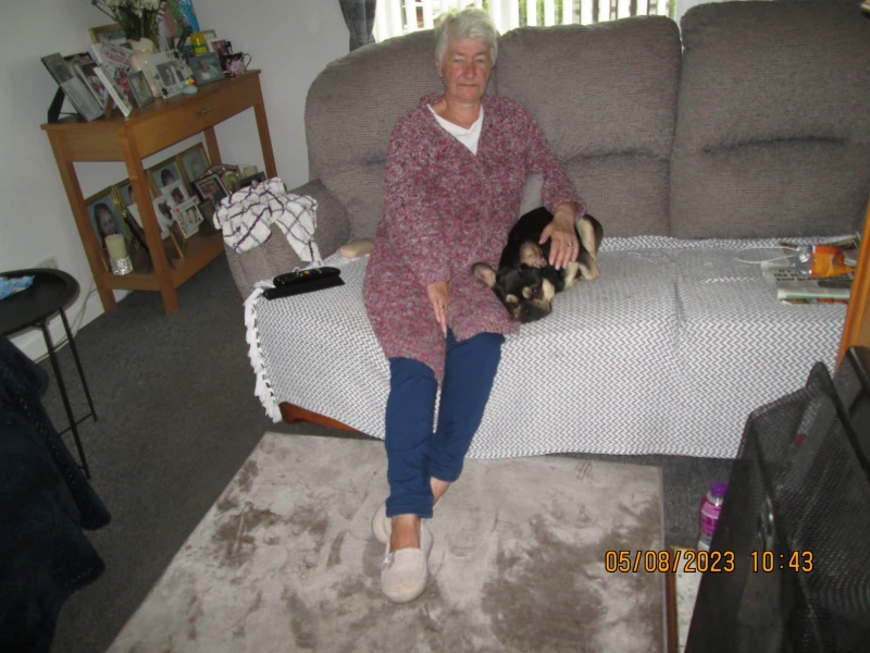 User image 68000b4b25361