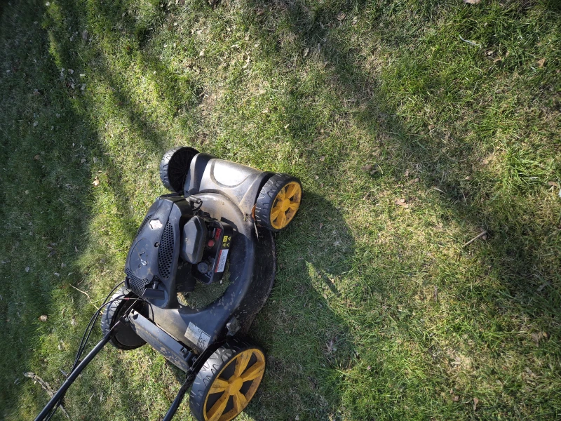 User image 68010802695a4