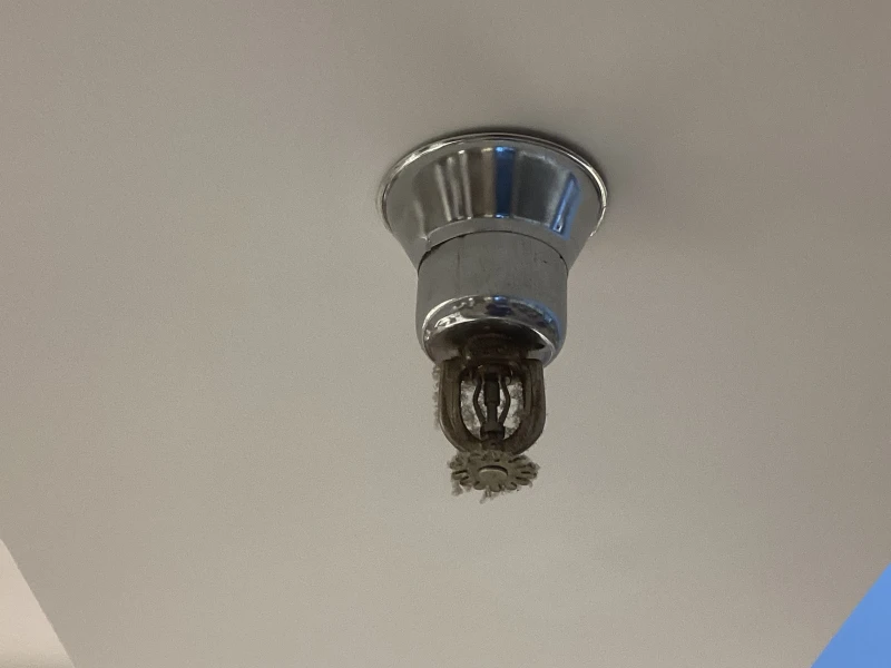User image 680114e8a7dd9