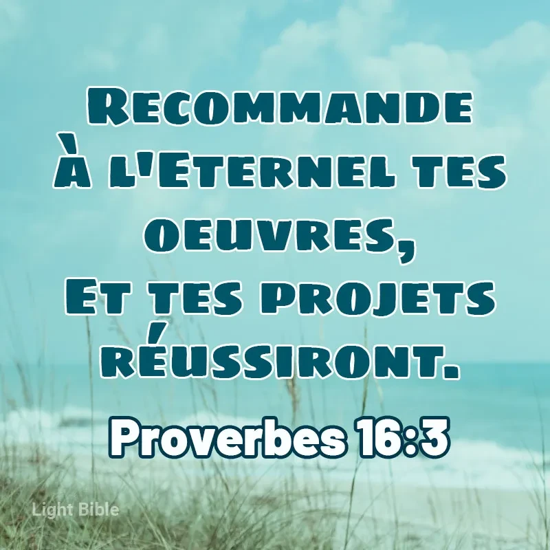 User image 68050f5636848