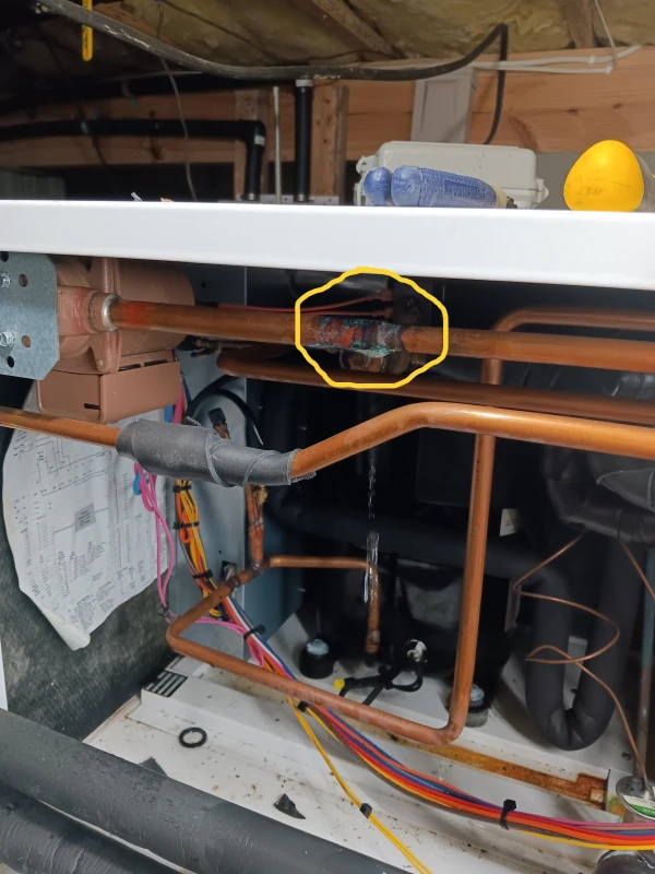 User image 68064f02baff6