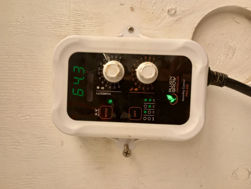 User image 680ffcd2b203a