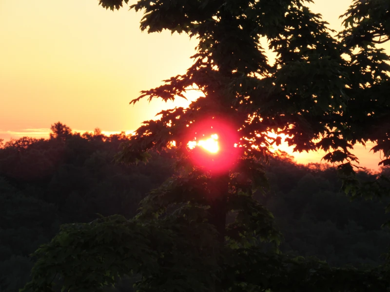User image 681643950a0d6