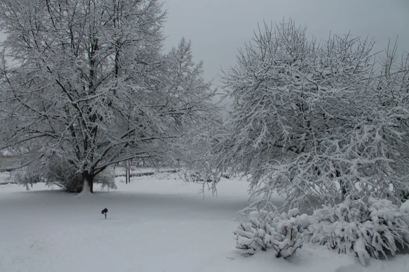 User image 6817a9983ef75