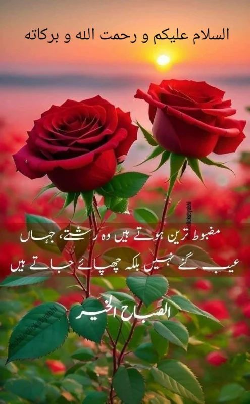 User image 68185fad9848d