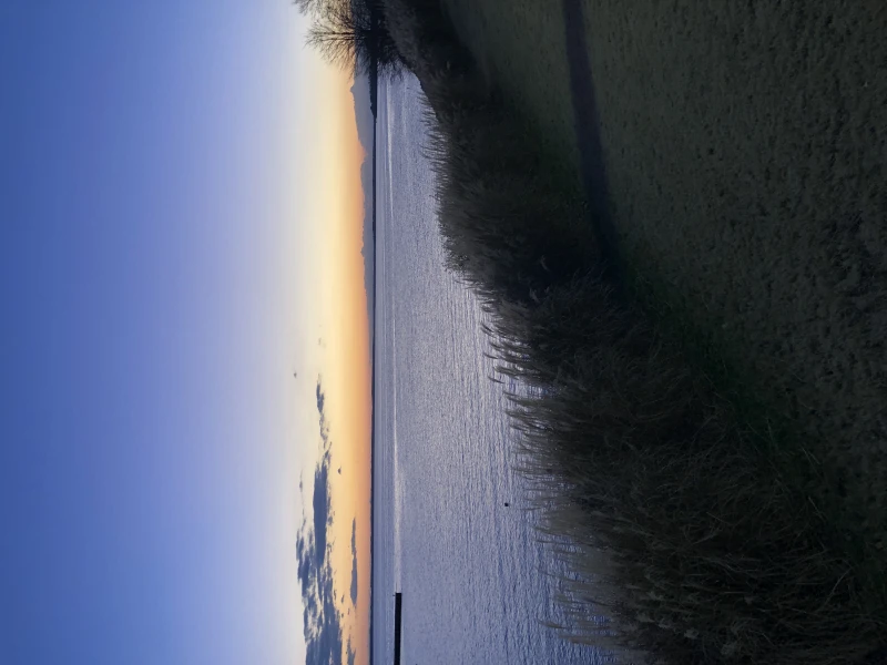 User image 681d3099b988d
