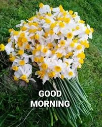 User image 681eadb9ac9d9