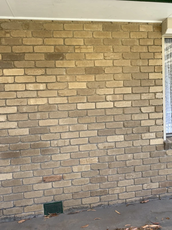 User image 6821b668f0e5f