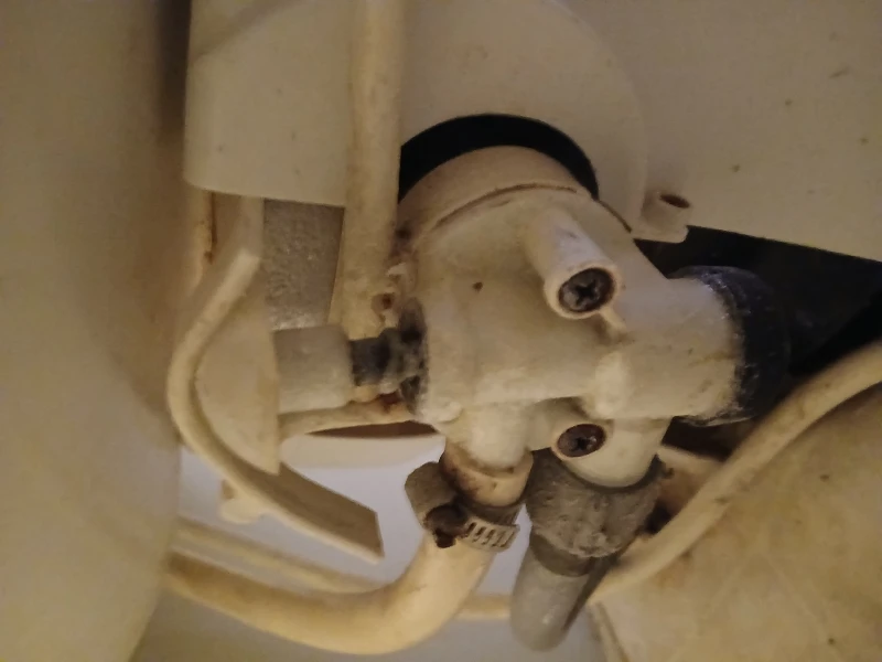User image 68239ea671edb