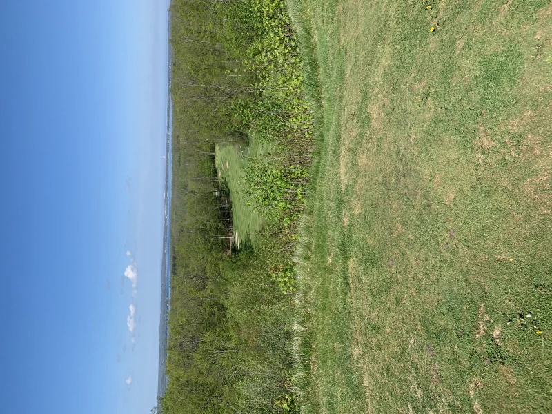 User image 682c9ba2062bb
