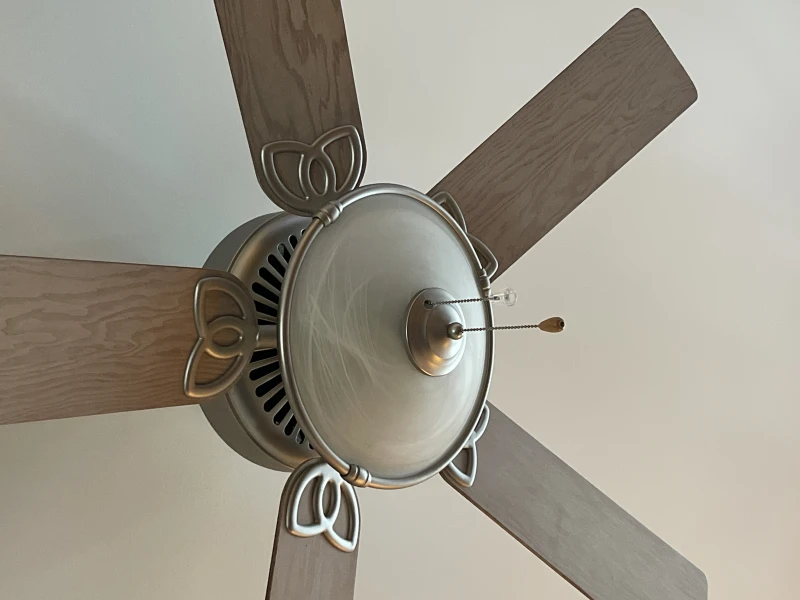 User image 68361ba95ec3a