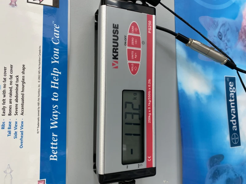 User image 683e3fb8bab95