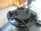 User image 68401c9cce2a1