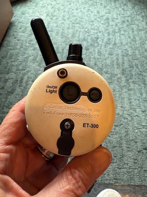 User image 68409a51924ac