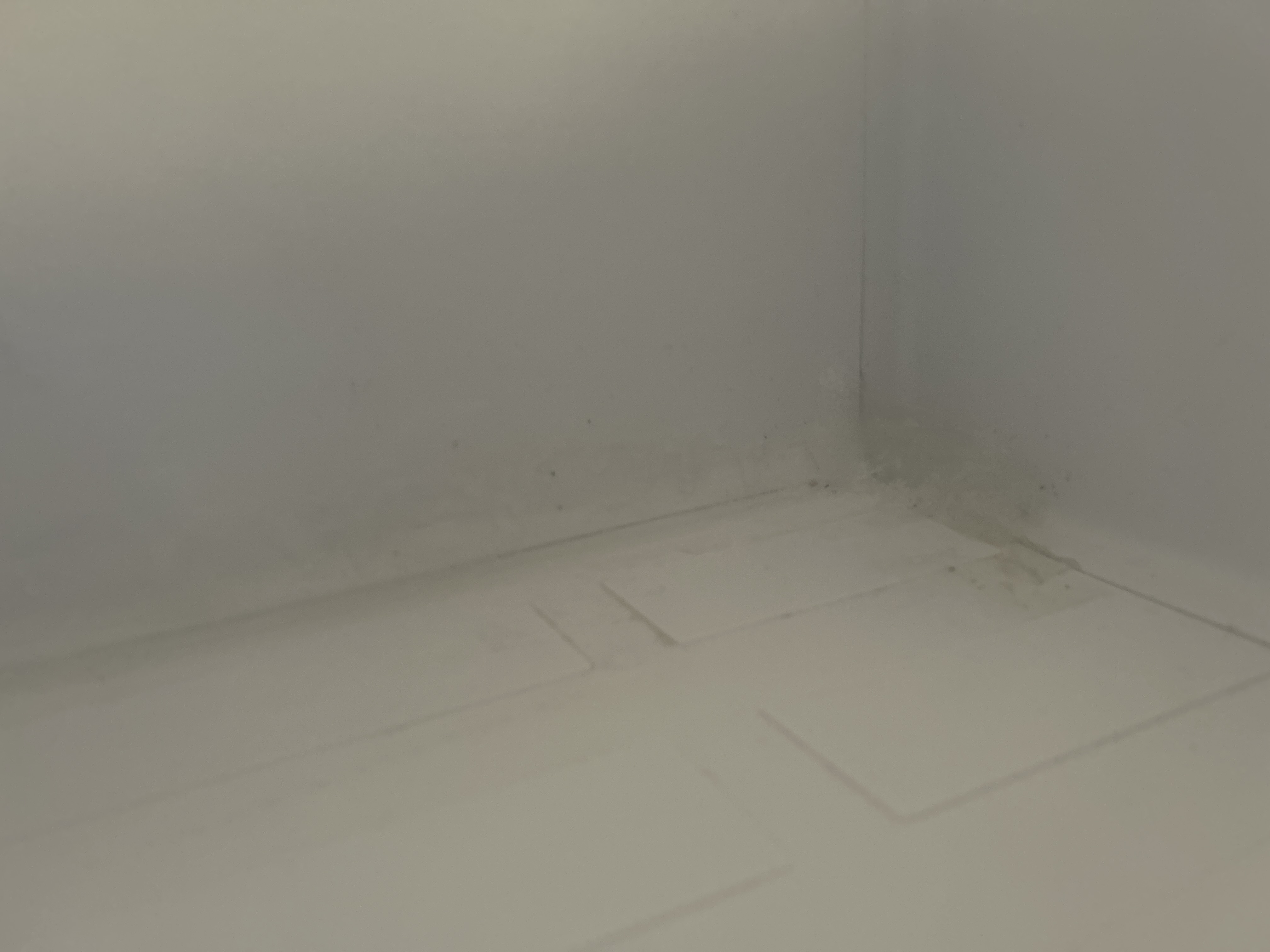 User image 684bf38bf0231
