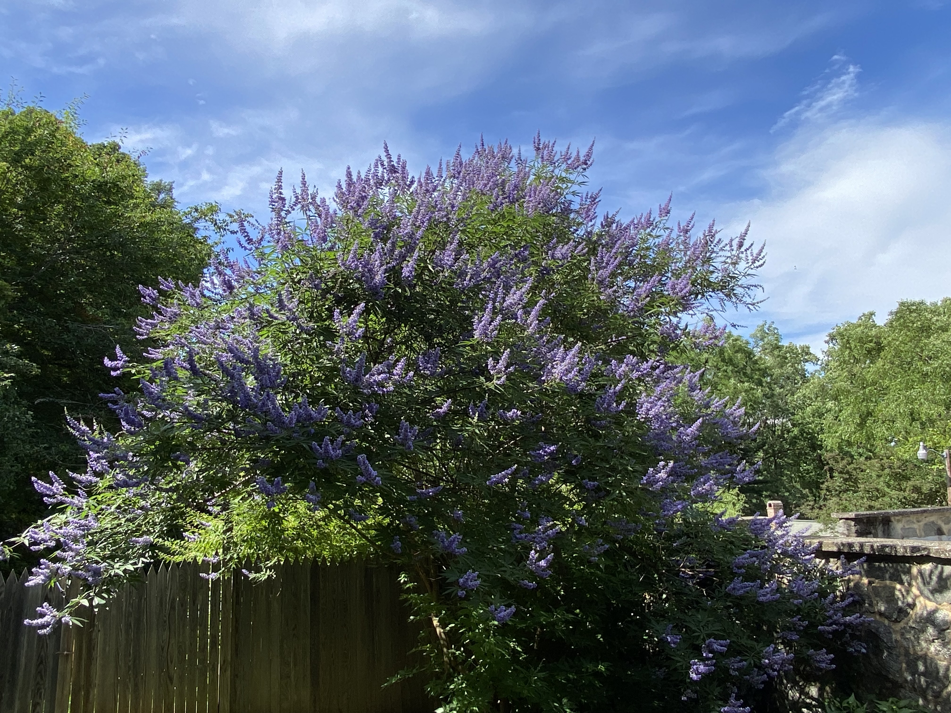 User image 685483f5bf2f1