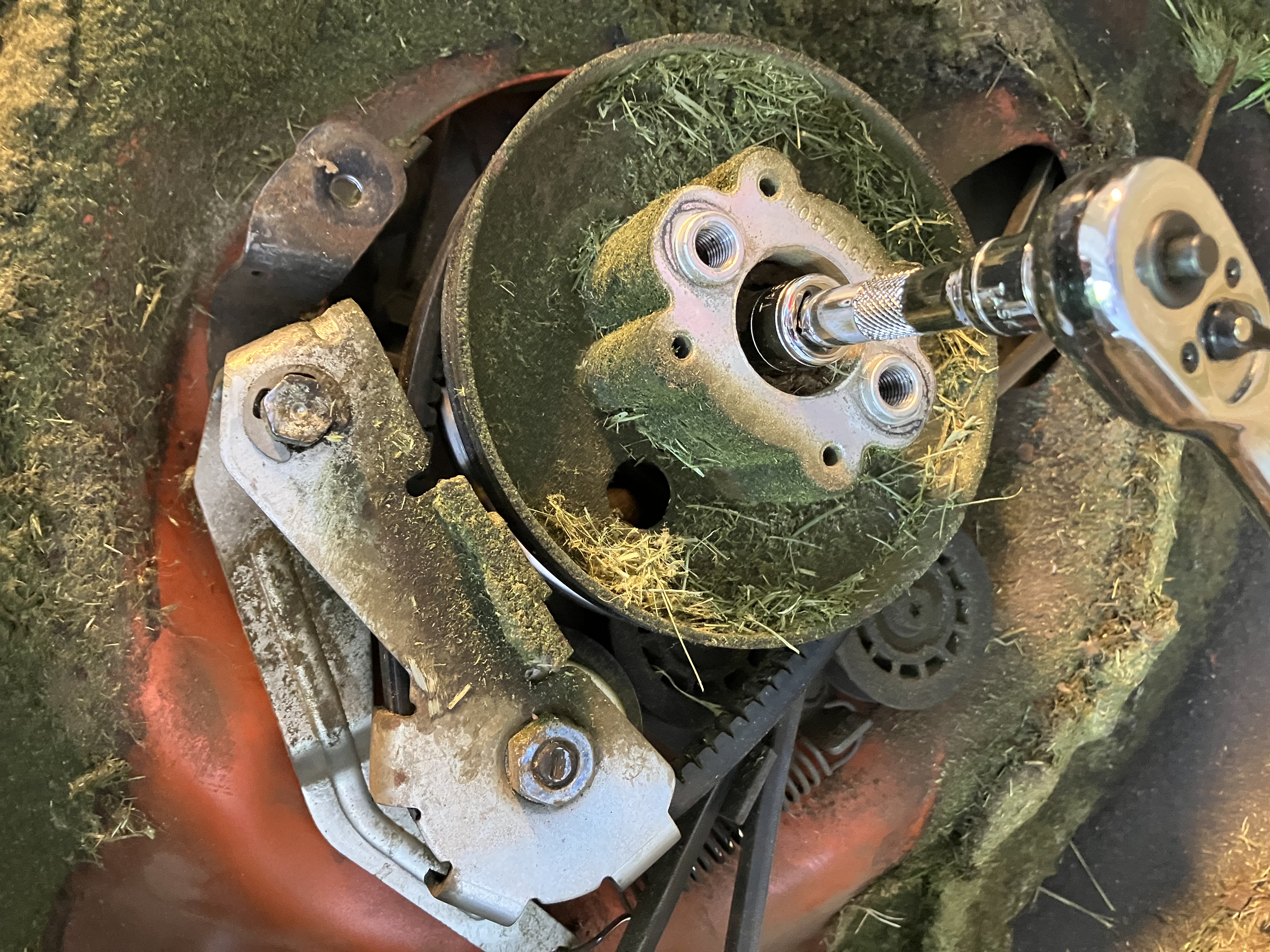 User image 6855ee08800f0