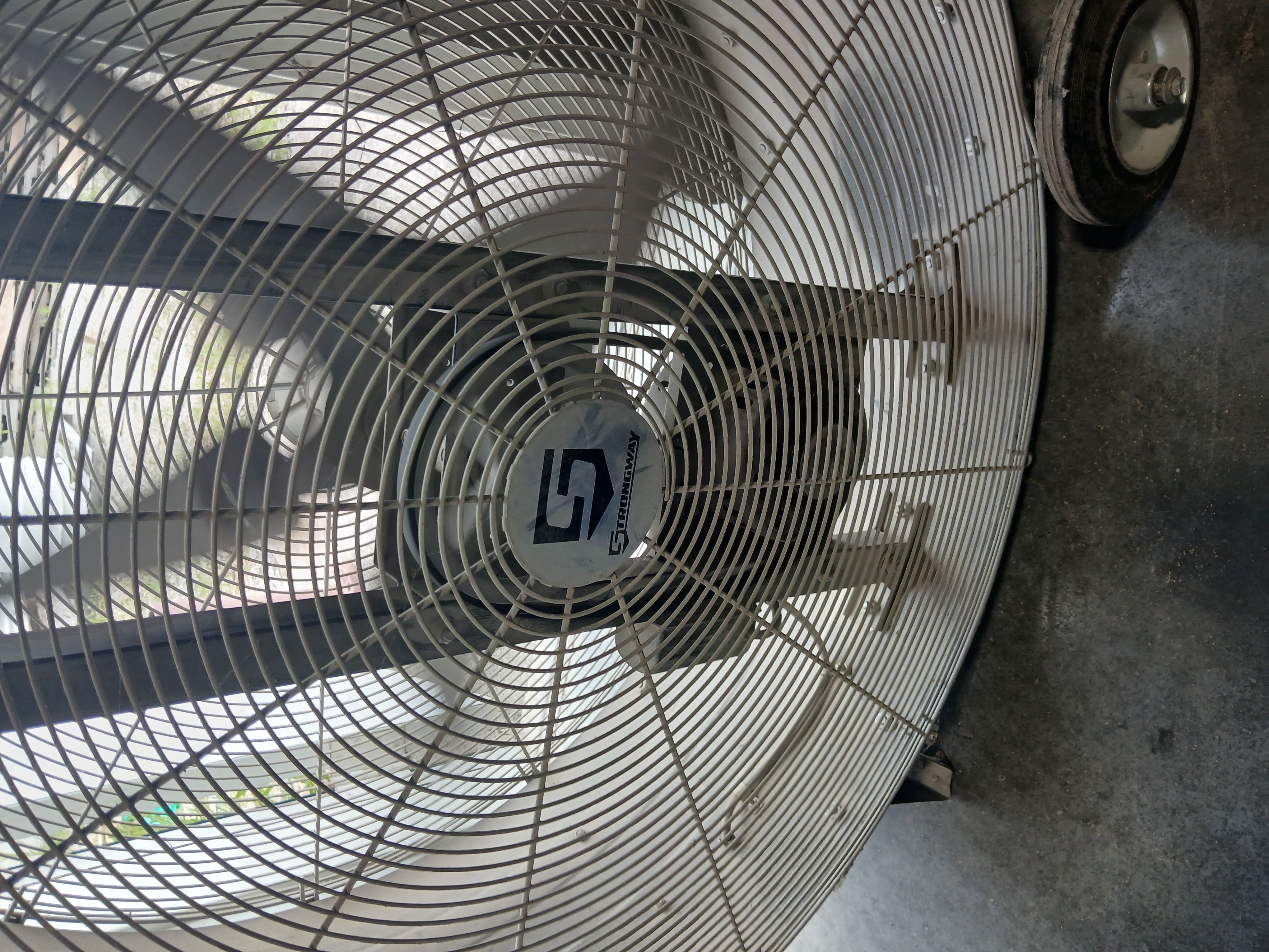 User image 68598ca1384e0