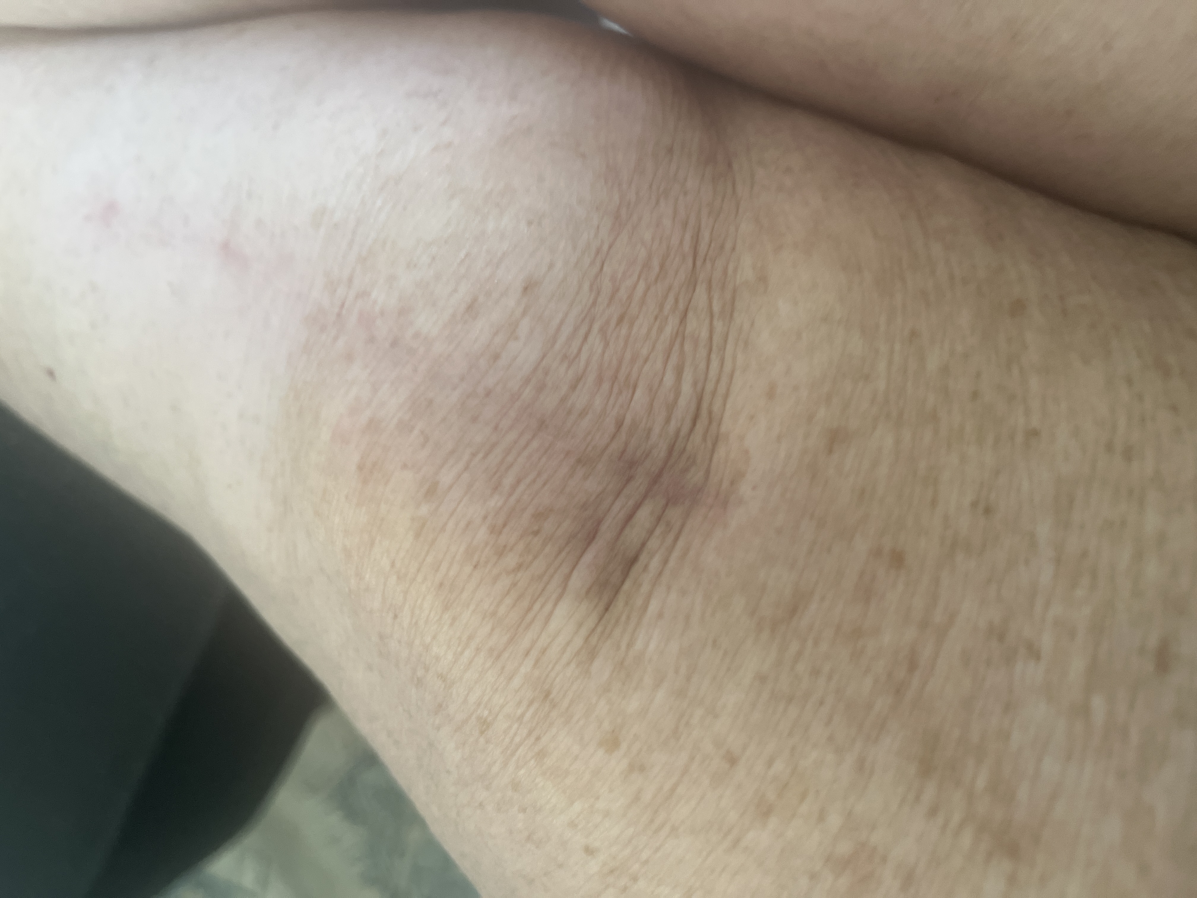 User image 685aff0d4a3c7