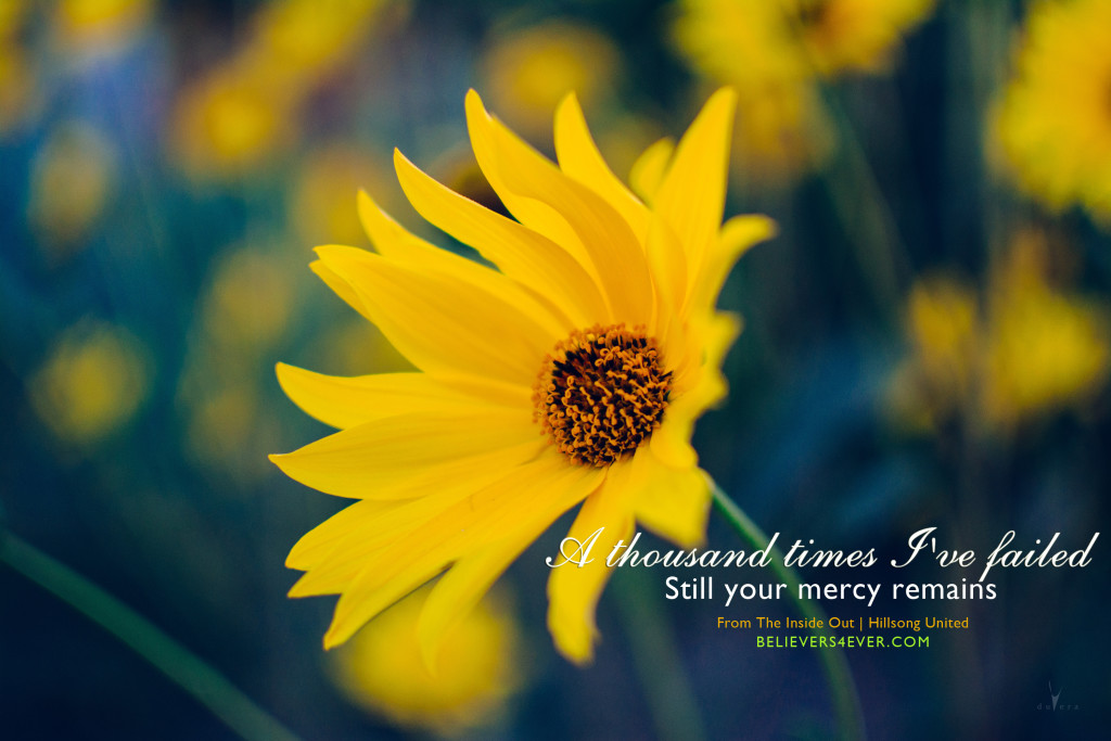 User image 685f196315c5c