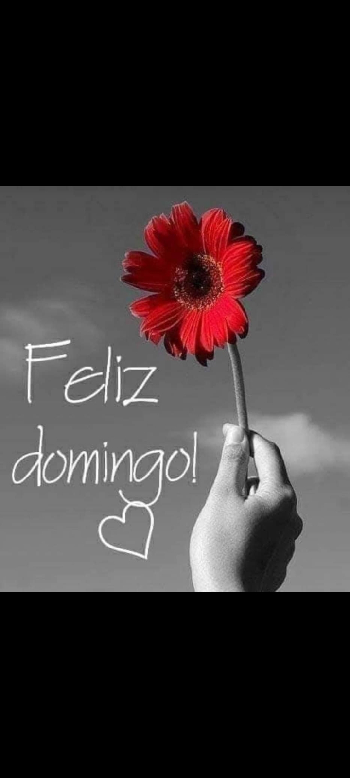User image 6861a24fdf8ed