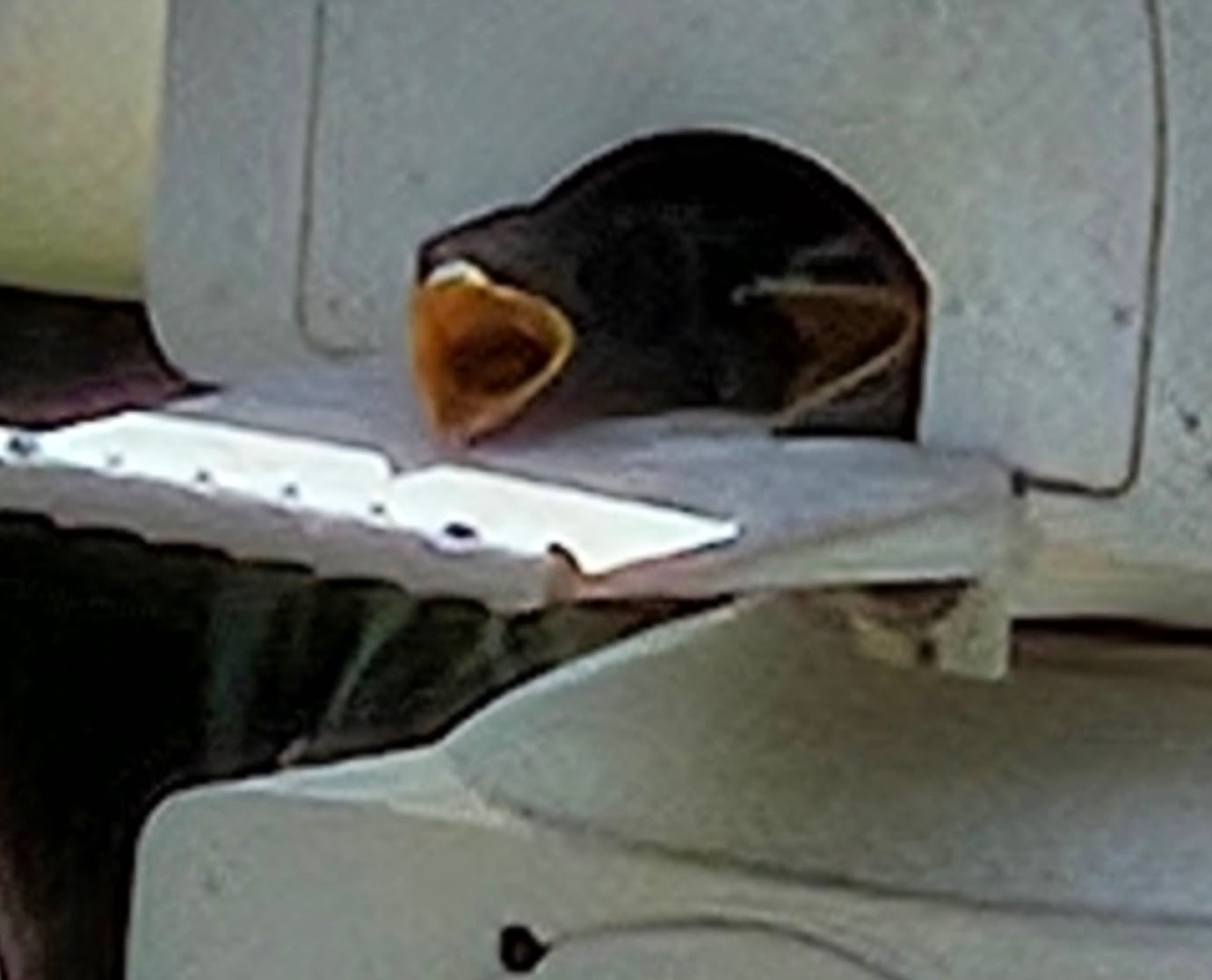 User image 6861cf8a4fa33