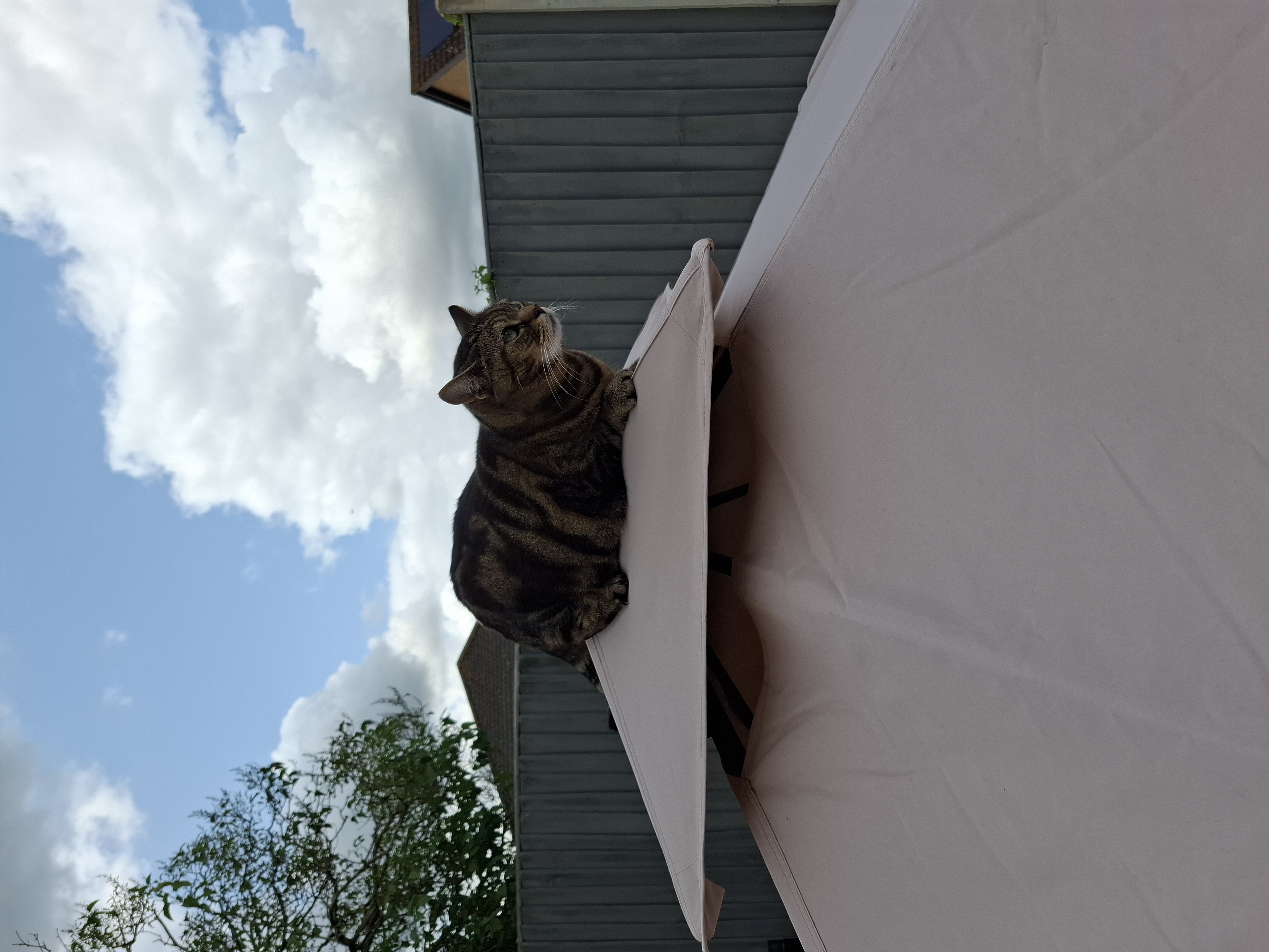 User image 68625ae320275