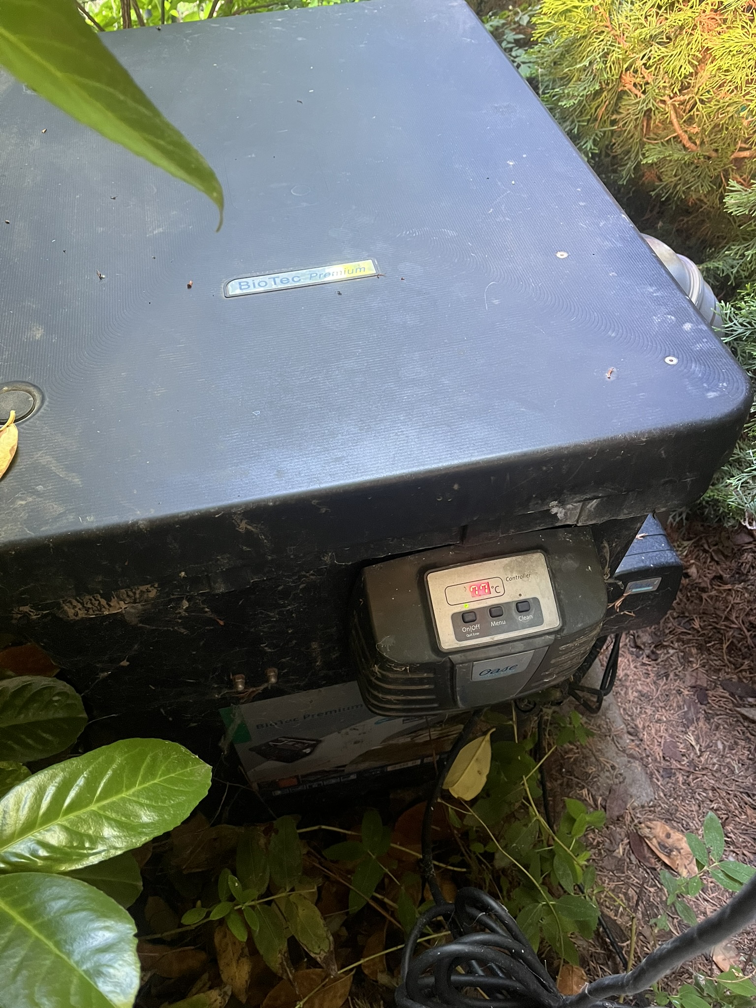 User image 686271ee3b4a4