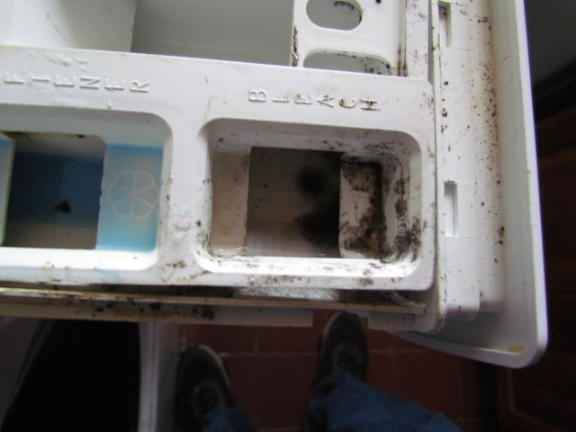 User image 6868193c1beb2
