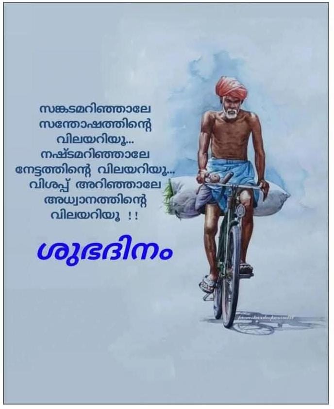 User image 686cc4516b475