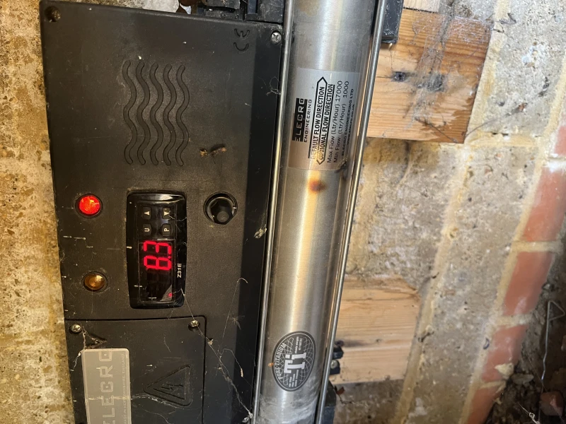 User image 67a49ace87475