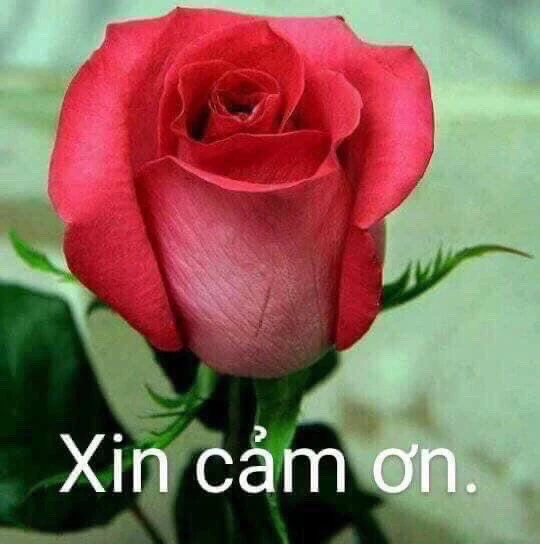 User image 67a6e63dc4df1