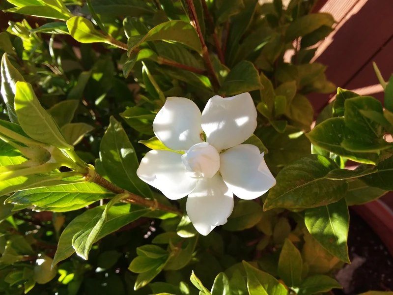 User image 67a78cb730eb6
